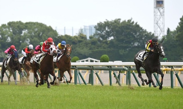 クロフネ牝馬のアエロリットが ８つ獲得 函館ではスプリント王血統の牡駒に ７つ スポーツナビ