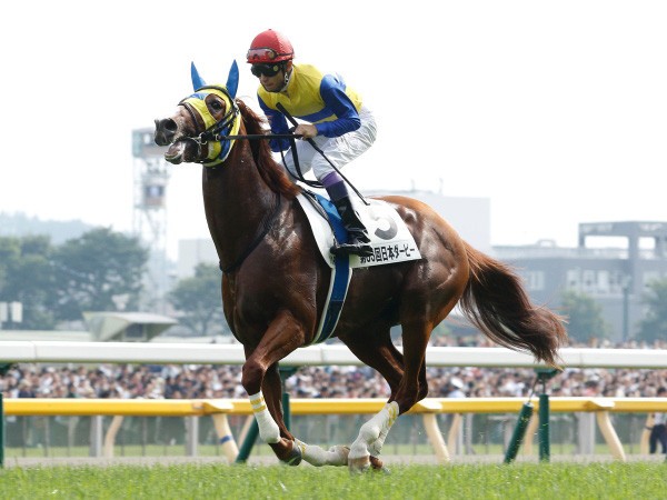 エアスピネルは神戸新聞杯から菊花賞へ、武豊騎手も「最後の一冠を」と力が入っている(写真はダービー)