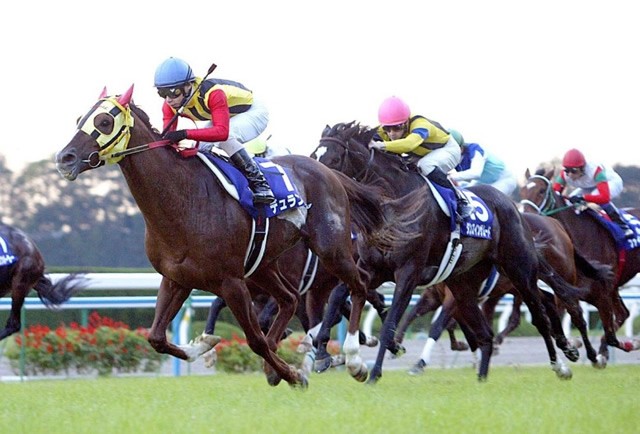 追い込み馬ランク１位は名刀デュランダル 破天荒な三冠馬 砂のキレキレ娘も登場 スポーツナビ