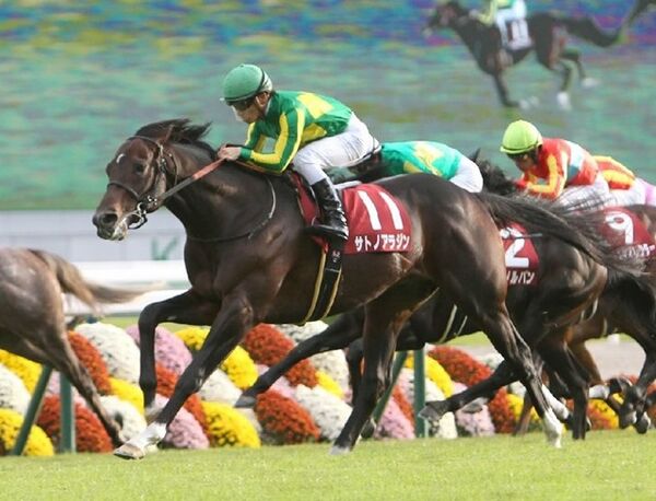 サトノアラジン陣営は大外ブン回しを宣言 モーリス不在で大混戦 マイルcs座談会 スポーツナビ サトノアラジン陣営は大外ブン回しを宣言 モーリス不在で大混戦 マイルcs座談会 スポーツナビ