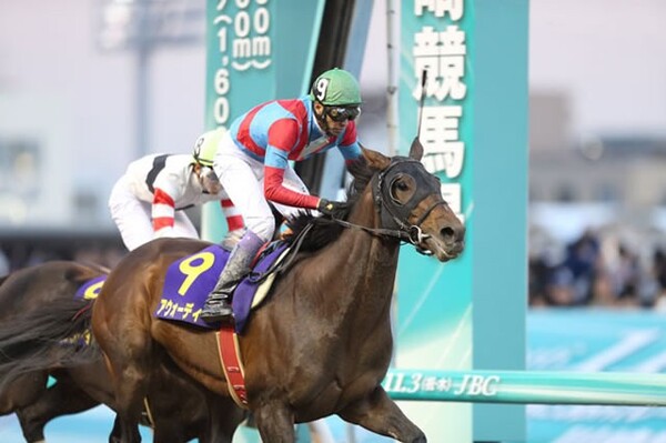 ダート転向後にアウォーディーの快進撃が始まった(撮影:高橋正和)
