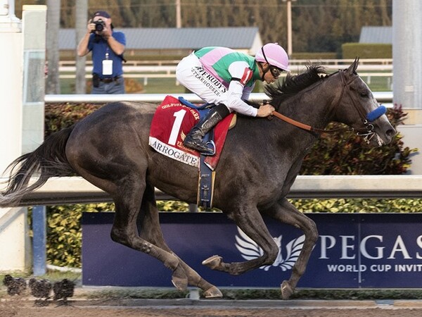 現在JavaScriptが無効です。世界一豪華な競馬開催、ドバイWCナイト 合田直弘氏が馬券対象の3競走を展望死角らしい死角が見つからないアロゲート著者プロフィール netkeiba.com 関連リンク新着記事コラムランキングおすすめ記事(Doスポーツ)新着公式情報 日本オリンピック委員会公式サイト