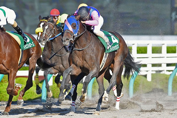 単勝11番人気メイショウスミトモの大駆けで、3連単は46万を超える波乱となった今年のシリウスS