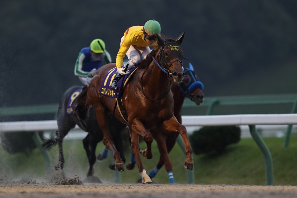 前人未到のGI・11勝目がかかるコパノリッキーは、距離短縮に対応できるか、に注目が集まる。写真は17年マイルCS南部杯。(C)高橋正和