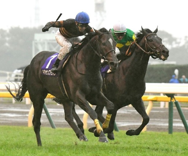 【非売品】競馬　ジャパンカップ ポスター キタサンブラック　武豊　ウマ娘　B1 競馬 ジャパンカップ ポスター キタサンブラック 武豊 ウマ娘 B1