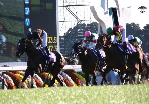初のGI勝利となった菊花賞、キタサンブラックが大きく変わったのはこの時期だという