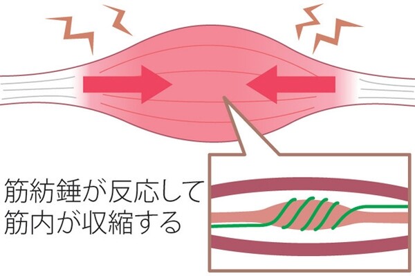左右開脚をラクにするストレッチ たった30秒で力みがとれる スポーツナビdo 左右開脚をラクにするストレッチ たった30秒で力みがとれる スポーツナビdo