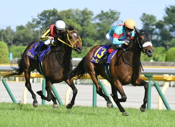 他馬を寄せ付けない走りで二冠を制したアーモンドアイ(橙帽)(撮影:日刊ゲンダイ)