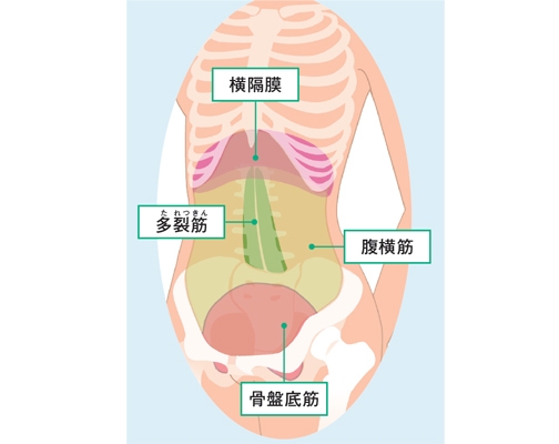 代謝upで効率的に鍛えよう コアトレ前に行うべき 準備の呼吸 とは スポーツナビdo