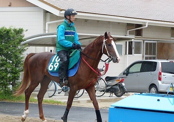 現在JavaScriptが無効です。クラウン逃げて配当2(ディ)バイダ 「競馬巴投げ!第172回」1万円馬券勝負函館記念、今回の写真は関西馬5頭去年の函館記念、当コーナーで3連単91万5320円的中乗峯栄一の1万円馬券勝負!2018夏の陣関連リンク著者プロフィール 乗峯栄一 関連リンク新着記事コラムランキングおすすめ記事(Doスポーツ)新着公式情報 日本オリンピック委員会公式サイト