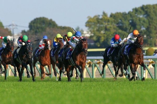 前半平均ペースながら後半ハイラップという異質な流れを難なく追走したレイデオロ(前列青帽)、ラストは強烈な末脚を繰り出した