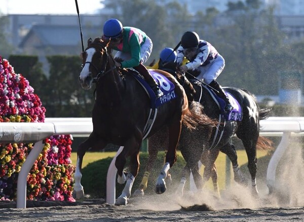 メーンの11R「クラシック」は充実の5歳馬ケイティブレイブが貫禄を示した
