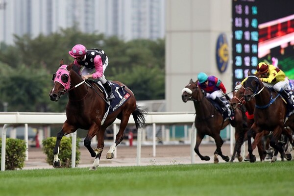 勝ち馬ビューティージェネレーション