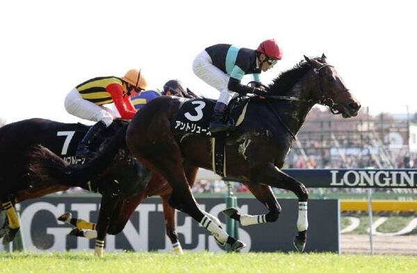記者 バラバラ 混戦模様のシンザン記念 買いはどの馬 現場情報が飛び交う座談会 スポーツナビ 記者 バラバラ 混戦模様のシンザン記念 買いはどの馬 現場情報が飛び交う座談会 スポーツナビ