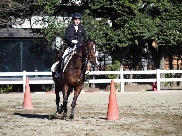 「人馬一体」がパラ馬術の理想形。馬を操るのではなく、馬の進みたいように進ませているような調和が必要だ