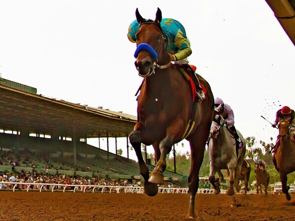 2014年9月27日、サンタアニタ競馬場で行われたG1フロントランナーステークスでも勝利を挙げたアメリカンファラオ