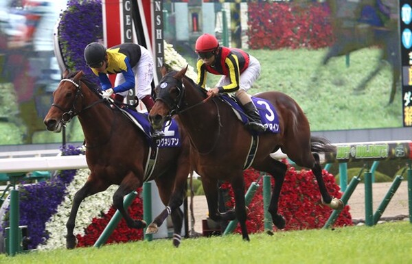 アルアインが大阪杯V、鞍上の北村友一はこれがうれしいJRA・GI初勝利となった