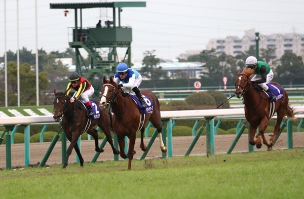 予想AI『VUMA』は朝日杯FSでこの秋GI・8レース目の的中なるか、一方のスポナビ競馬チームは阪神JFに続く大当たりを狙う!(写真は18年朝日杯FS)