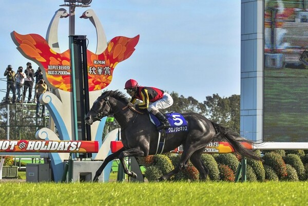 京都記念には秋華賞馬クロノジェネシス(写真)も出走する