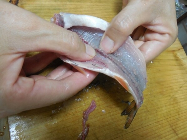 釣った魚をその場で食べる さばく 手開きにする 方法と簡単レシピ スポーツナビdo 釣った魚をその場で食べる さばく 手開きにする 方法と簡単レシピ スポーツナビdo