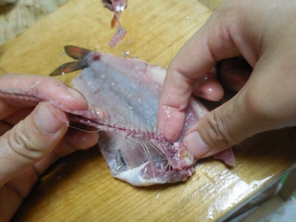 釣った魚をその場で食べる さばく 手開きにする 方法と簡単レシピ スポーツナビdo 釣った魚をその場で食べる さばく 手開きにする 方法と簡単レシピ スポーツナビdo