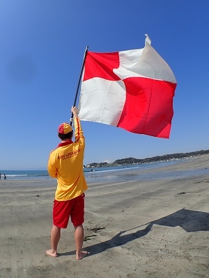 海で赤白旗を見たらすぐ避難 津波フラッグのデザインを全国統一へ スポーツナビ