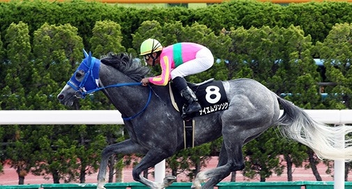 最終値下げ！早い者勝ち！　トゥモローランド　コート M 函館ダート1700mのオープン特別・大沼Sを分析！ - スポーツナビ