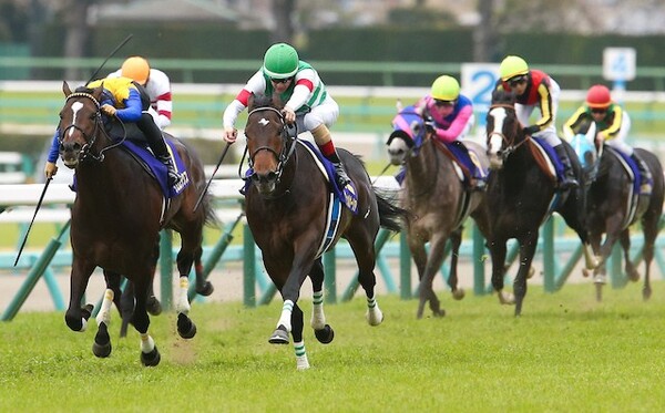 昨秋のGIシリーズで12戦7勝、回収率167%と当てに当てまくった競馬予想AI『VUMA』がGIII「中京記念」はじめ2レースを予想