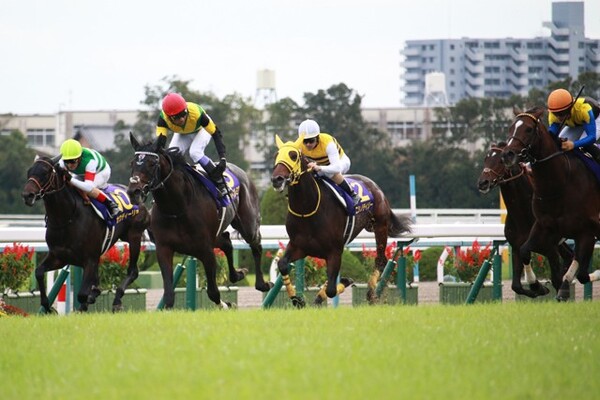 牡馬三冠クラシック最終戦・菊花賞、歴史に残る偉業達成なるか、予想AIの答えはいかに(写真は19年菊花賞)