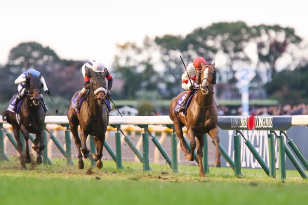 ジャパンカップや有馬記念へのステップレースとなる日曜の東京メイン・アルゼンチン共和国杯、競馬予想AI『VUMA』の本命は?(写真は19年ジャパンカップ)