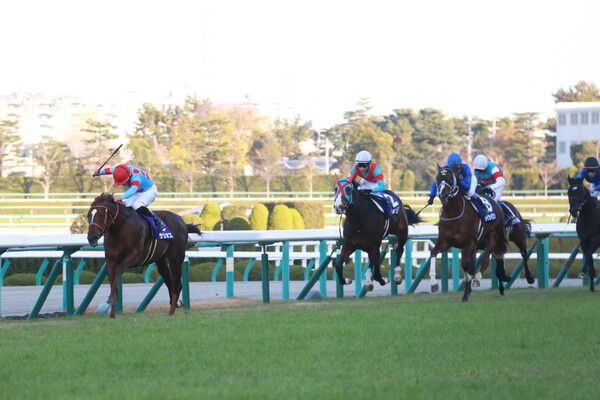 土曜の阪神ではデイリー杯2歳S、来月の朝日杯FSと同条件だけに要注目だ(写真は19年朝日杯FS)
