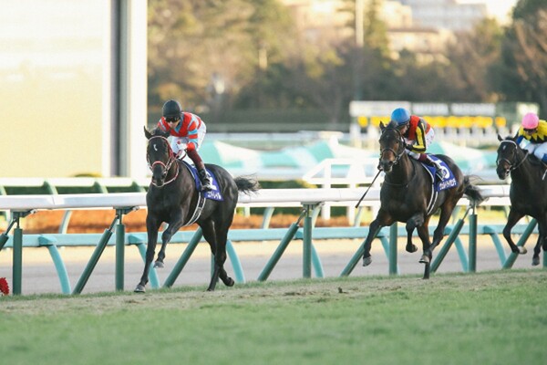 2歳王者へと続く一戦、京都2歳ステークスの本命に競馬予想AI『VUMA』が指名したのは?(写真は2019年ホープフルS)