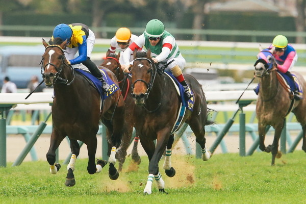 年の初めの縁起レース、東西金杯を競馬AIが予想する!