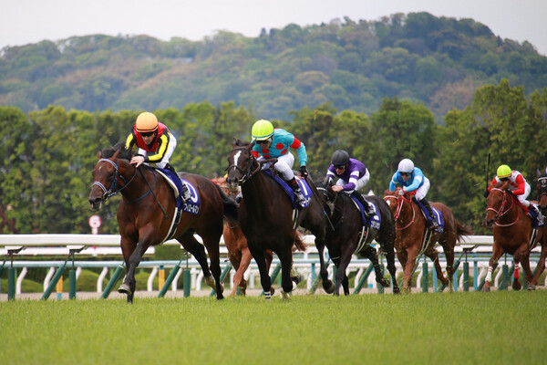 春のGIへ向けた前哨戦も佳境、今週土曜の日経賞&毎日杯でも絶好調の競馬予想AI『VUMA』の結論に注目だ