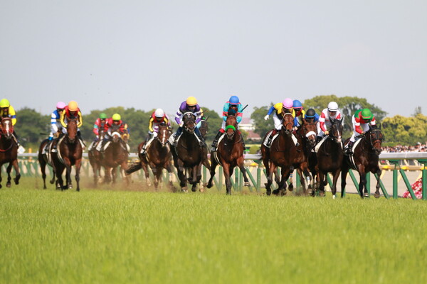 ダービーへ向けて新星は現れるか……競馬AIが青葉賞をズバリ予想!