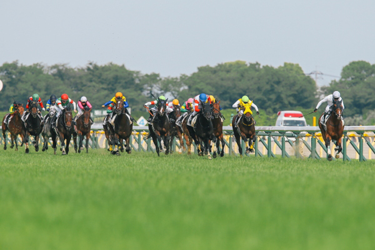 競馬aiが京都新聞杯を大予想 厳選ワイド3点 3連複10点で勝負 スポーツナビ