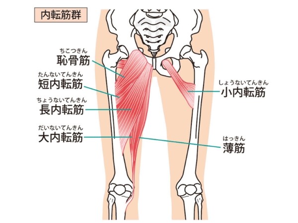 座っているときに膝が開くのはなぜ 膝が開く人は注意したい ヨガポーズあるある スポーツナビdo 座っているときに膝が開くのはなぜ 膝が開く人は注意したい ヨガポーズあるある スポーツナビdo