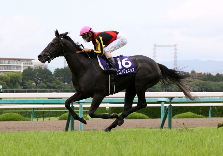 牝馬の上位独占か！？ 宝塚記念を分析する - スポーツナビ