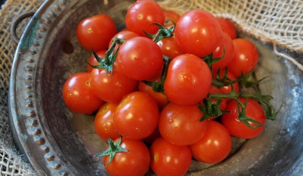 トマトはダイエットに向いているって本当 正しい方法と効果をおすすめトマトレシピと共にご紹介 スポーツナビdo トマトはダイエットに向いているって本当 正しい方法と効果をおすすめトマトレシピと共にご紹介 スポーツナビdo