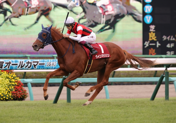 前走脚質と継続騎乗がカギ！ エリザベス女王杯を分析する - スポーツナビ