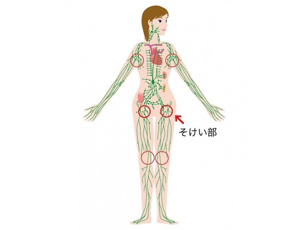 リンパが集まる そけい部 のトレーニングで引き締まった下半身を手に入れる スポーツナビdo リンパが集まる そけい部 のトレーニングで引き締まった下半身を手に入れる スポーツナビdo