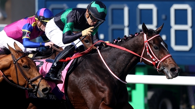 日本馬の躍動なるか？ 香港国際競走4レースを展望 - スポーツナビ