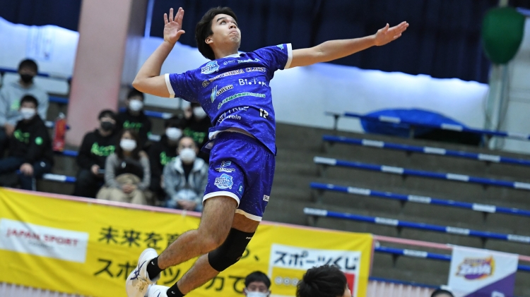兵庫デルフィーノ　バレーボール　バレー　練習着　Tシャツ　Vリーグ 兵庫デルフィーノ バレーボール バレー 練習着 Tシャツ Vリーグ