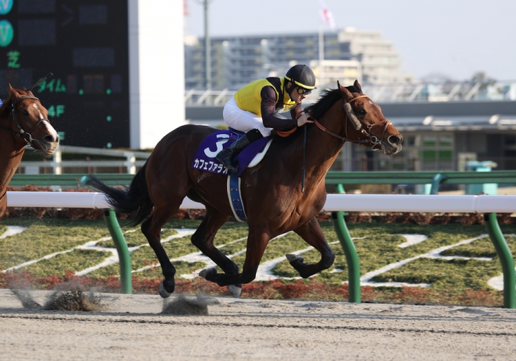 連覇か牝馬の初制覇か フェブラリーｓを占う スポーツナビ