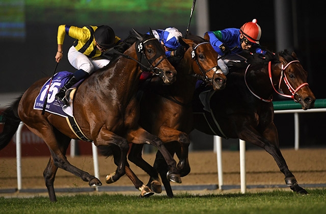 ドバイワールドカップデー回顧】国際レースで日本馬が5勝を