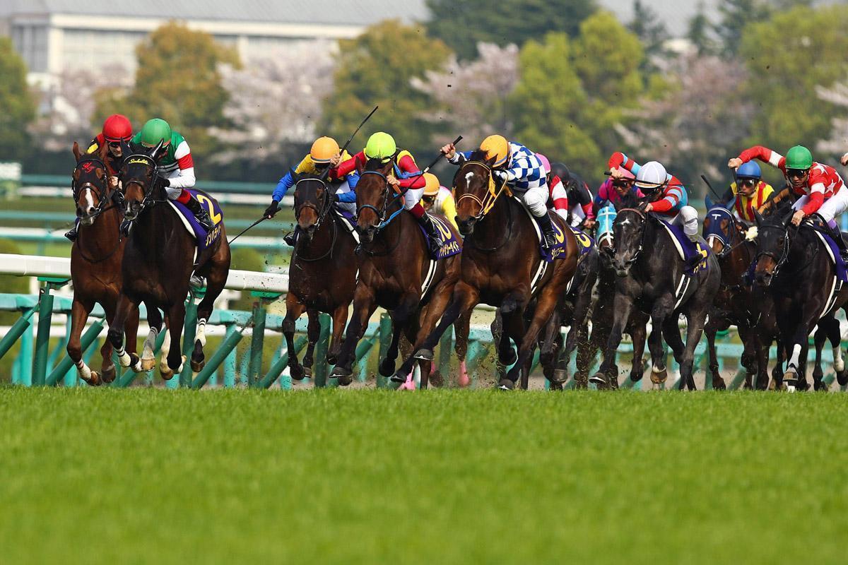 サークルオブライフもナミュールも◎じゃない!? 競馬AIが推奨した本命馬はあの馬だ！ - スポーツナビ