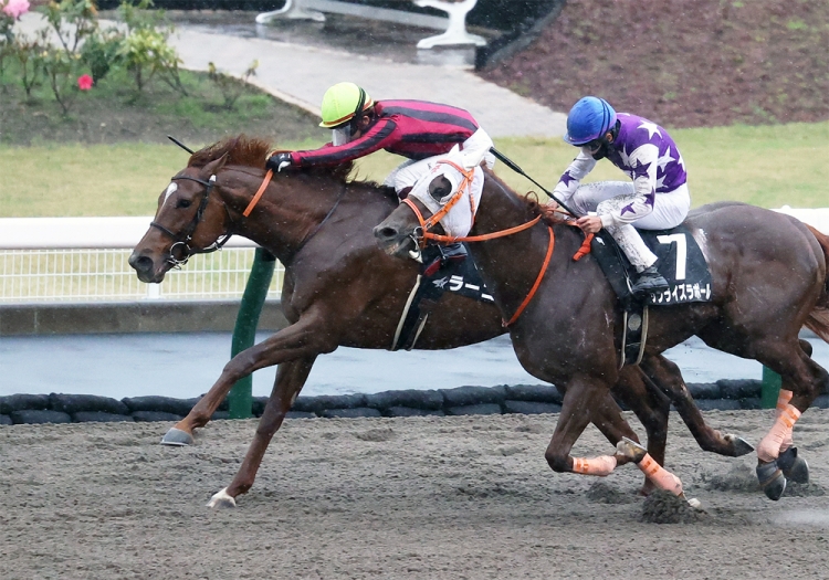 【オルフェーヴル】日本ダービー全18頭出走馬(現地的中馬券)クイックピック オルフェーヴル】日本ダービー全18頭出走馬(現地的中馬券
