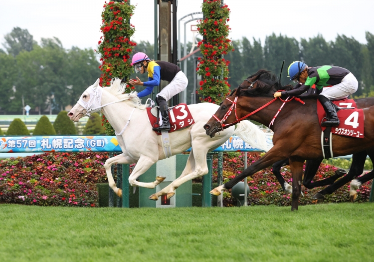 豪華メンバー集結！ 札幌記念を分析する - スポーツナビ