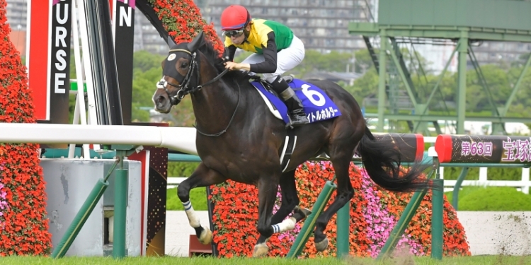 タイトルホルダー 引退記念ジャンボバスタオル　新品未開封・未使用品　競馬 競走馬 タイトルホルダー 引退記念ジャンボバスタオル 未開封 未使用