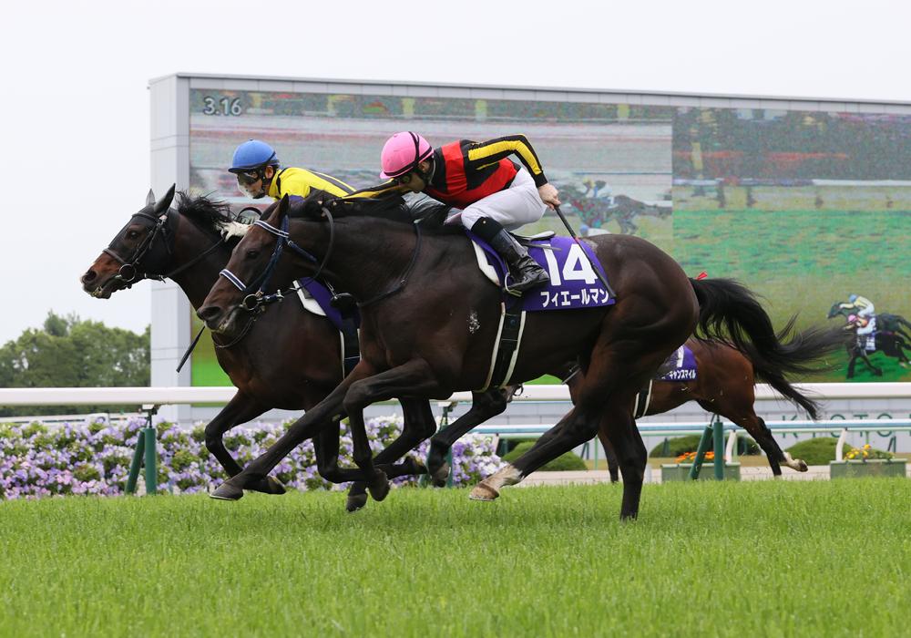 あなたにおすすめの商品 新装・京都」最初のG1を制する馬は？ 天皇賞（春）分析 コレクション